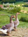 Ducking About Dordogne - France - Dordogne